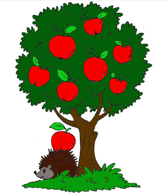 Ёжик с красным яблоком картинка
